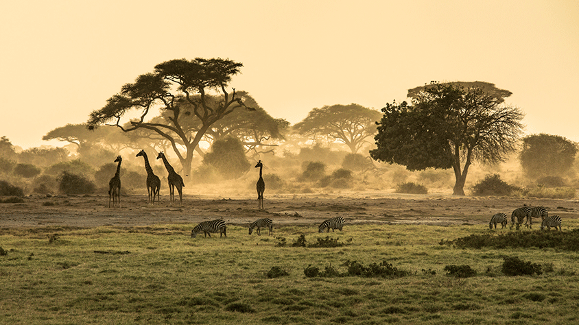 África